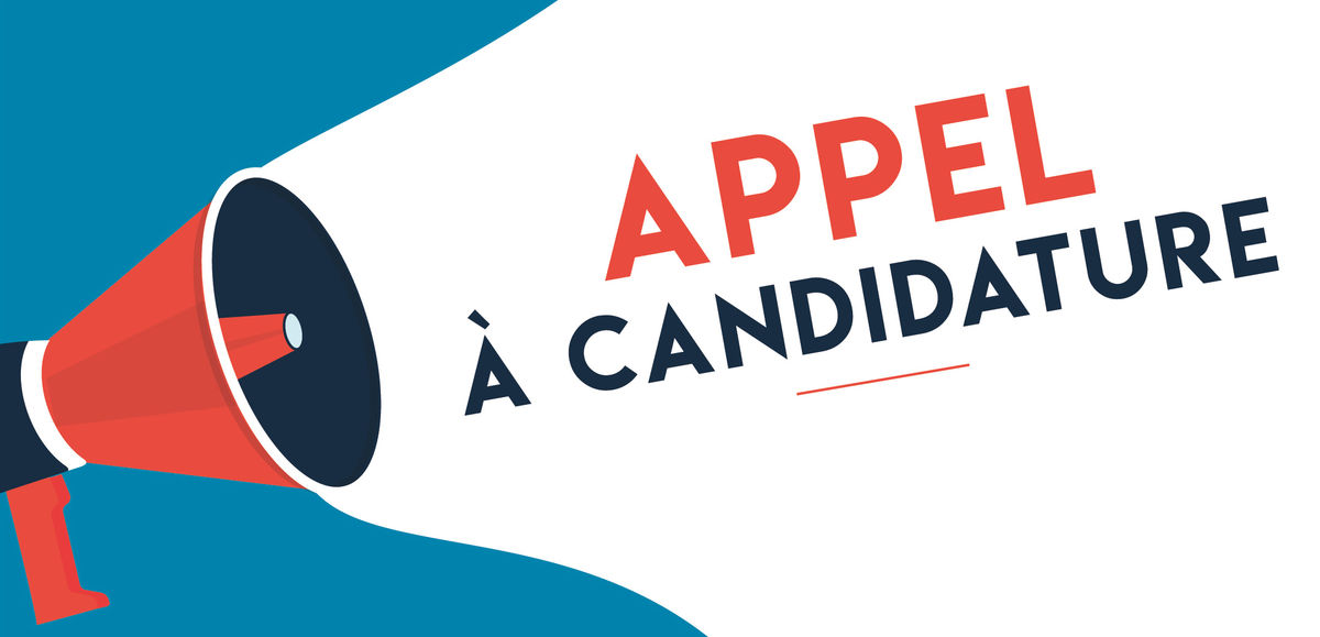 APPEL A CANDIDATURE MASTER CMDL